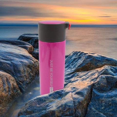 Stainless Steel Water Bottle (380 ML)